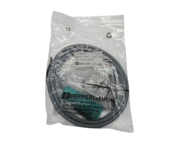 PEPPERL+FUCHS CJ10-30GK-E2 021454 PROXIMITY SENSOR NSMP