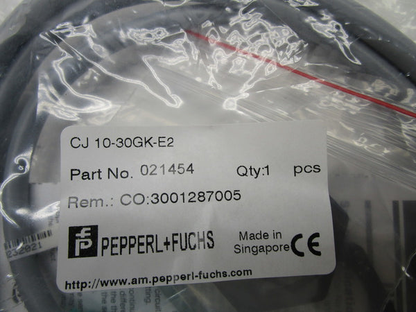 PEPPERL+FUCHS CJ10-30GK-E2 021454 PROXIMITY SENSOR NSMP