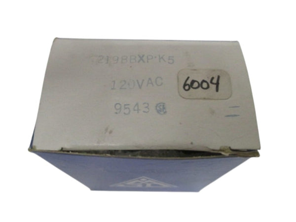STRUTHERS-DUNN 219BBXP-K5 RELAY 120VAC NSMP