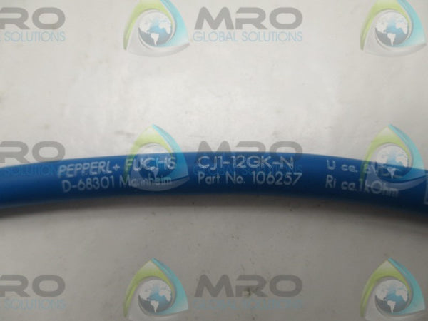 PEPPERL + FUCHS CJ1-12GK-N CAPACITIVE SENSOR 8VDC NSNP