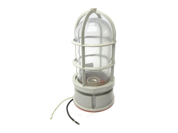 HUBBELL NV2IG15 277V (W/ GLOBE) NSNP
