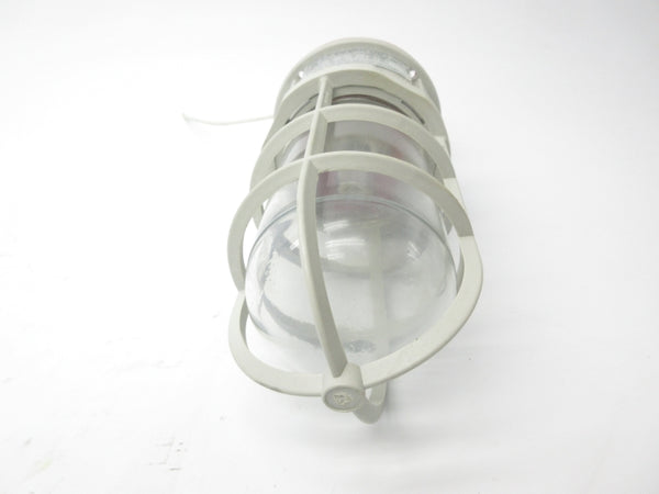 HUBBELL NV2IG15 277V (W/ GLOBE) NSNP