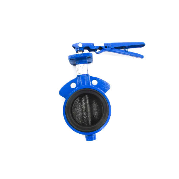 DELVAL 50040I21E1B0 175PSI NSNP