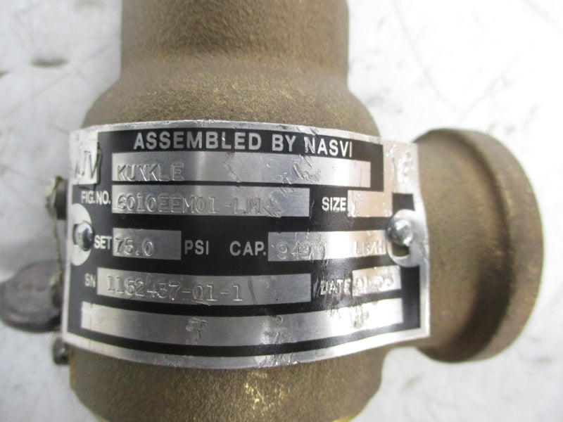NASVI 6010EEM01-LM 75PSI NSNP