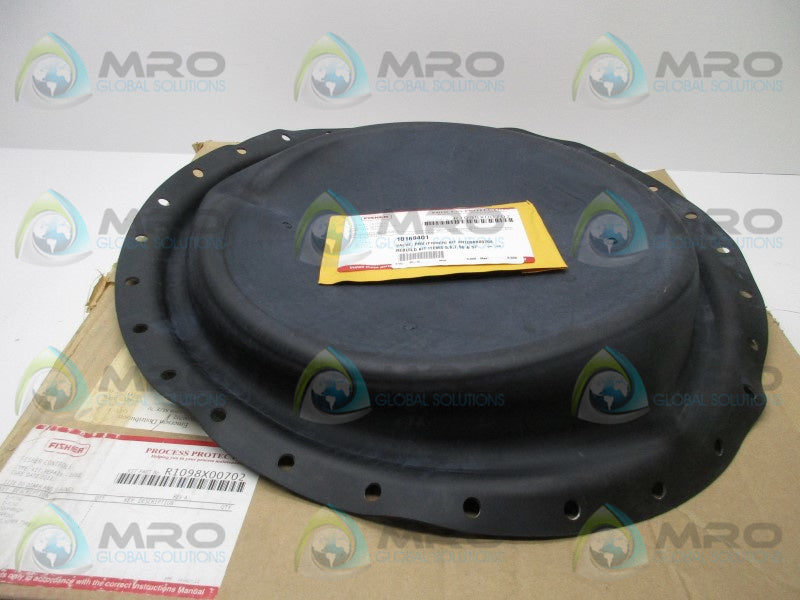 FISHER R1098X00702 REPAIR KIT  NSMP