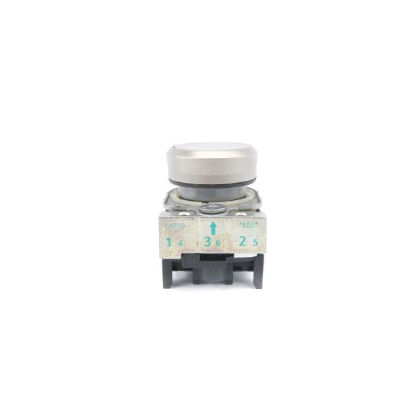 PUSH BUTTON G/17/10 NSNP