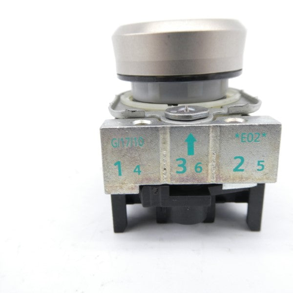 PUSH BUTTON G/17/10 NSNP