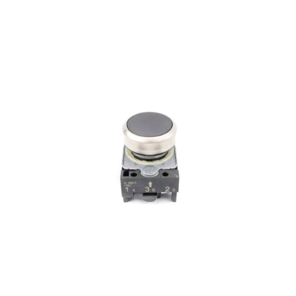 PUSH BUTTON G/180613 NSNP