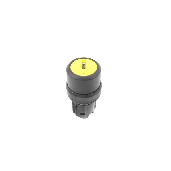 SWITCH 394001A (NO KEY) NSNP