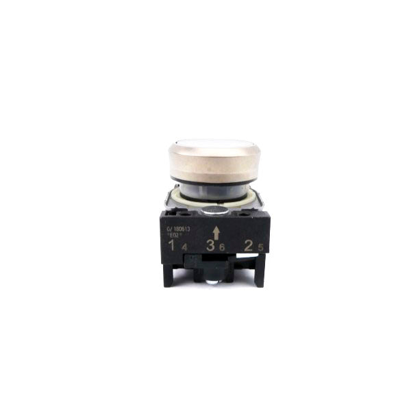 PUSH BUTTON G/180613 NSNP