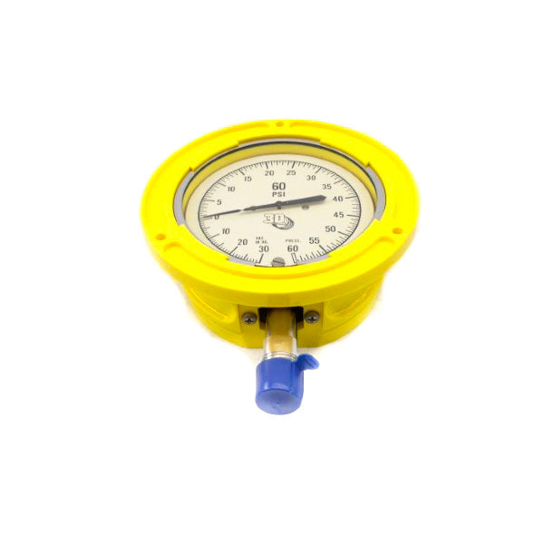 3D INSTRUMENTS 25104-22C74GAD 60PSI NSNP