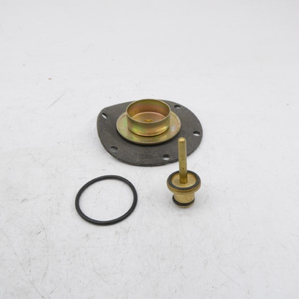 WATTS RK119B NSMP