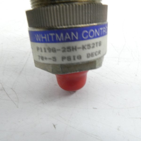 WHITMAN CONTROLS P119G-25H-K52TS NSNP