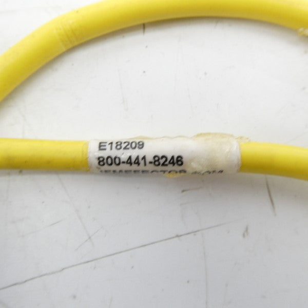 IFM EFECTOR E18209 NSNP
