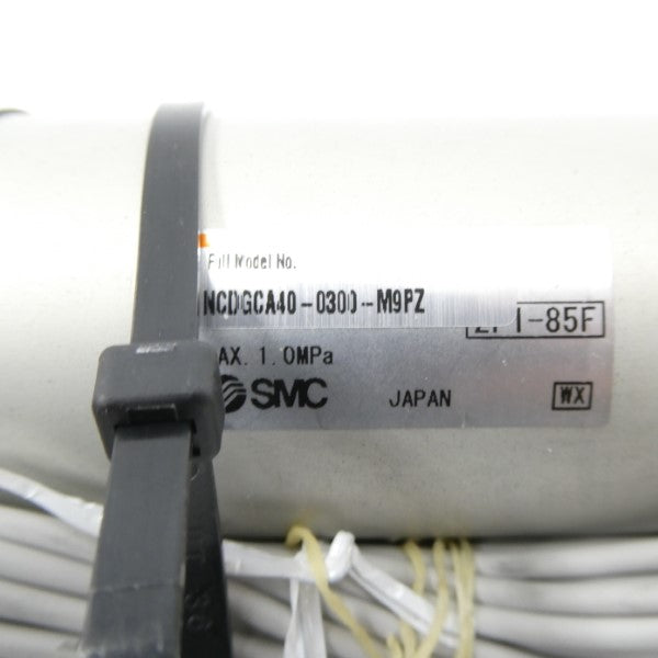 SMC NCDGCA40-0300-M9PZ NSNP