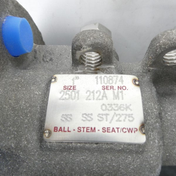 VALVE 110874 2501-212A-M1  1" NSNP