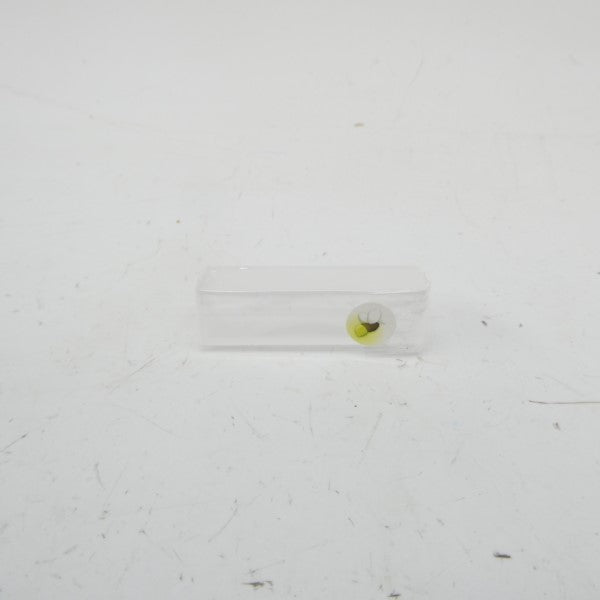 FIREFLYSCI 1UV10 (PKG OF 4) NSMP