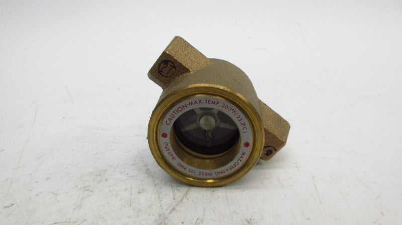 W.E. ANDERSON SFI-100-1/4 125PSI 200'F NSNP