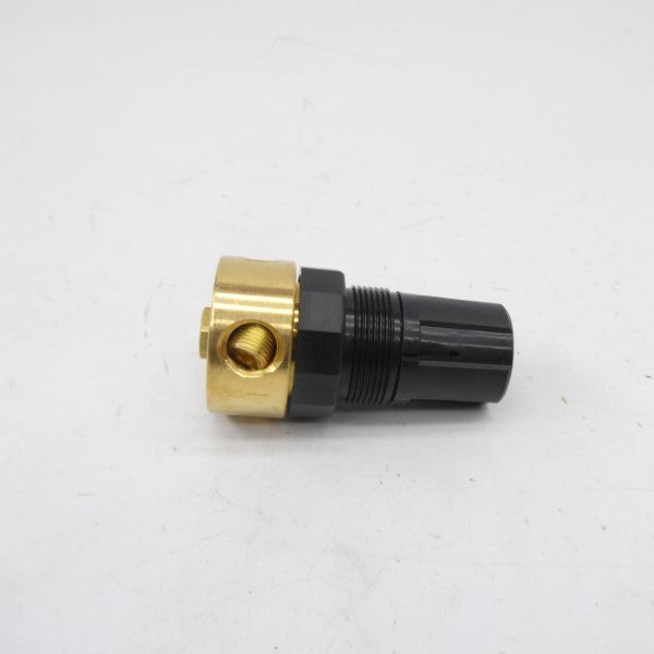 WATTS R364-02A 0/25PSI 1/4" NSMP