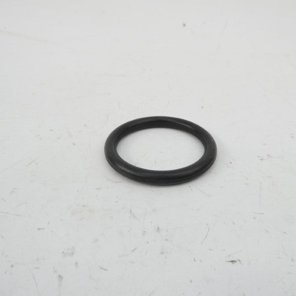 ROTOR CLIPS SH-66STZD (PKG OF 79) NSMP