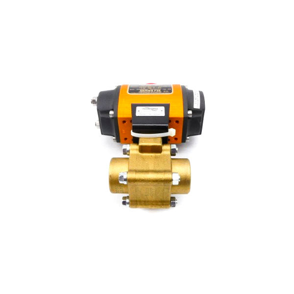 FLOWSERVE 10F39SNR7 120PSI NSNP