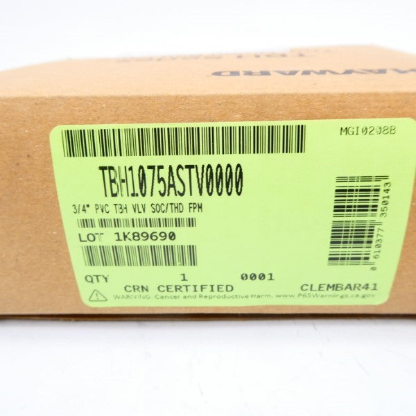 HAYWARD TBH1075ASTV0000 3/4" NSMP