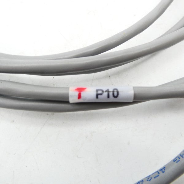 P10 NSNP