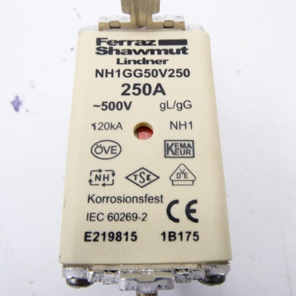 FERRAZ SHAWMUT NH1GG50V250 500V 250A NSNP