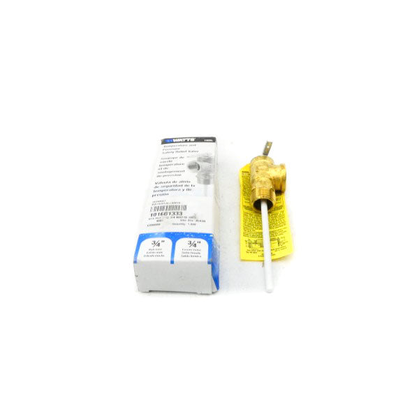 WATTS 100XL-4M7 3/4" NSMP