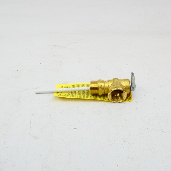 WATTS 100XL-4M7 3/4" NSMP