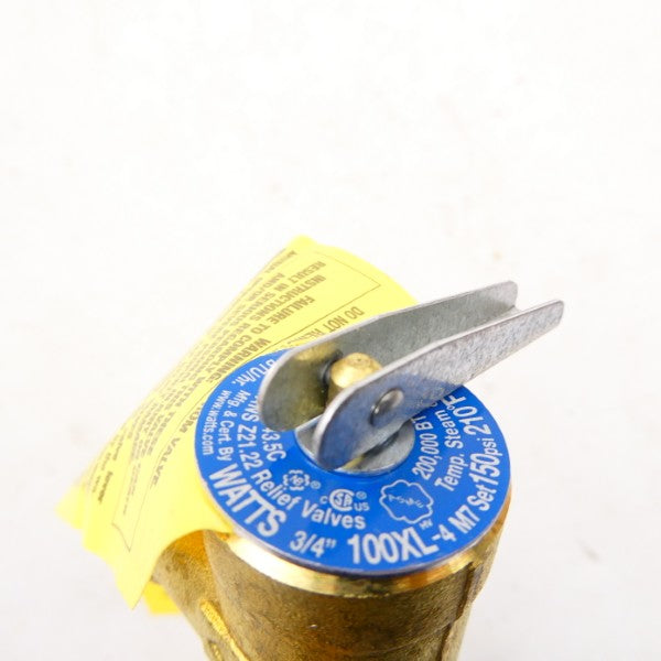 WATTS 100XL-4M7 3/4" NSMP
