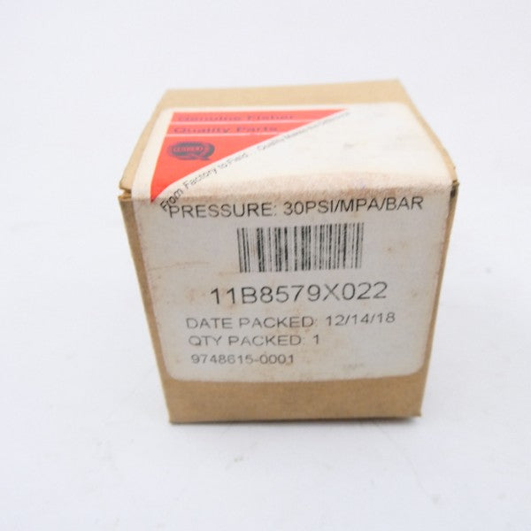 FISHER 11B8579X022 30PSI NSMP
