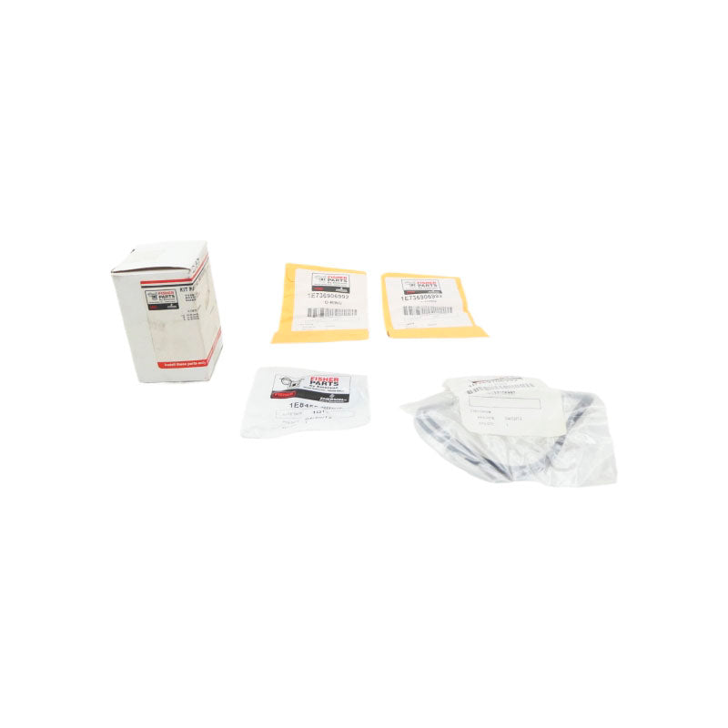 FISHER R667X000702 NSMP