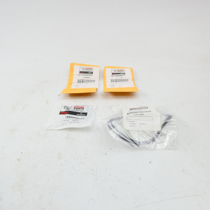 FISHER R667X000702 NSMP
