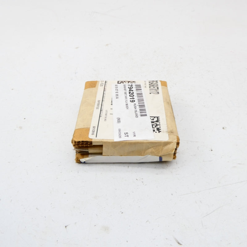 EMERSON RGASKETX172 NSFS