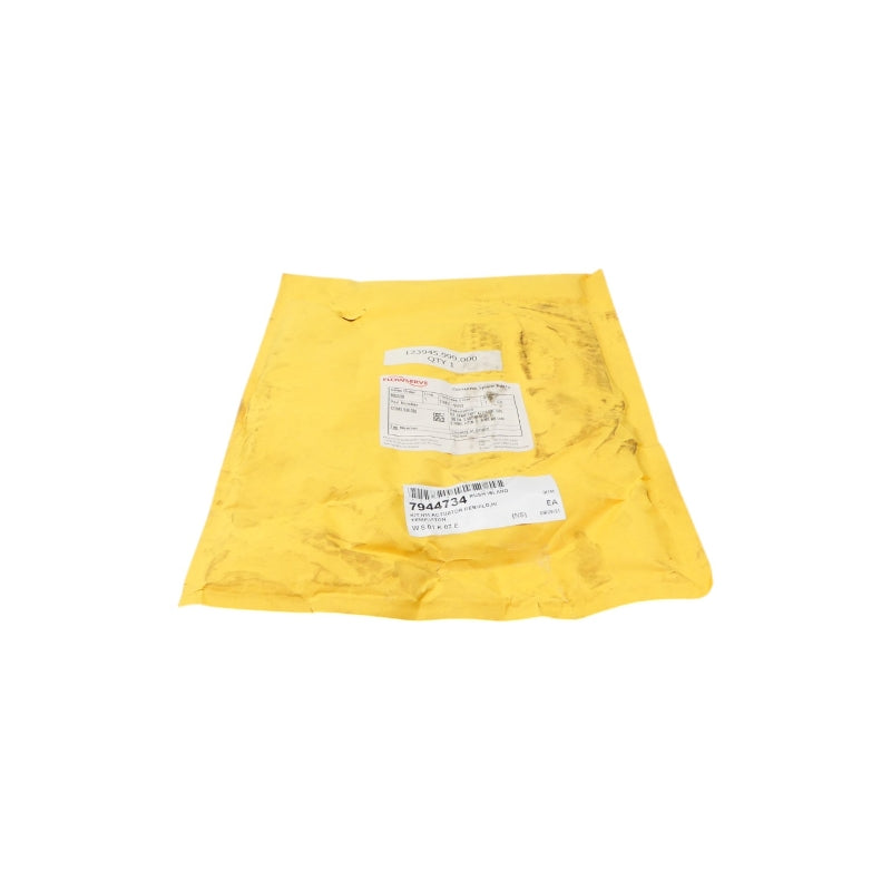 FLOWSERVE 123945.999.000 NSFS