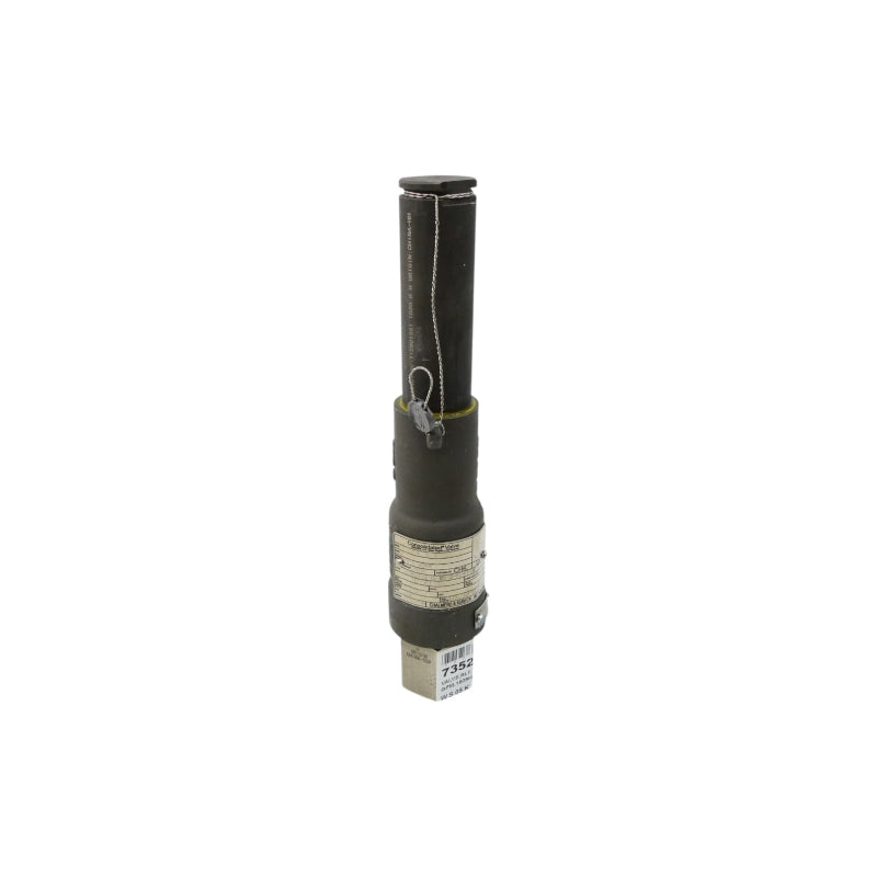 CONSOLIDATED VALVE 19096LCF-2-CC-MS-31-11-11-1A 3/4" NSNP