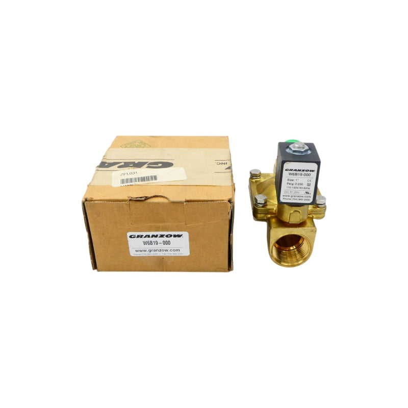 GRANZOW W6B19-000 110-120V 2-230PSI 1" NSMP