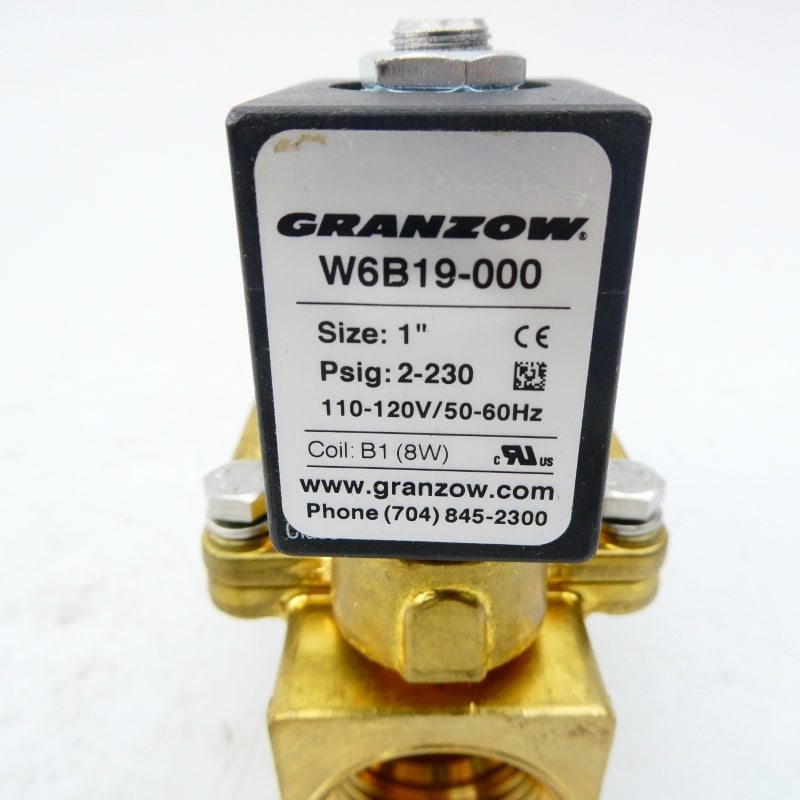 GRANZOW W6B19-000 110-120V 2-230PSI 1" NSMP