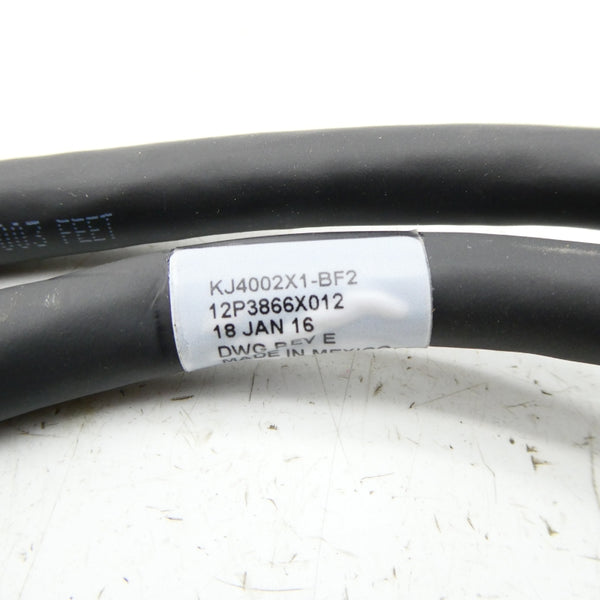 CONNECTOR CABLE KJ4002X1-BF2 12P3866X012 REV. E NSNP