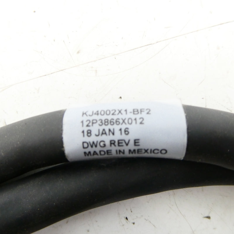 CONNECTOR CABLE KJ4002X1-BF2 12P3866X012 REV. E NSNP