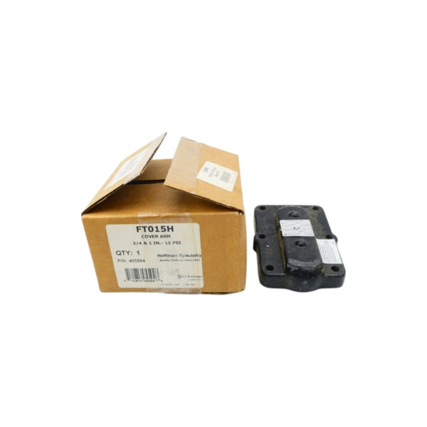 BELL & GOSSETT 405594 FT015H 15PSI 3/4" NSMP