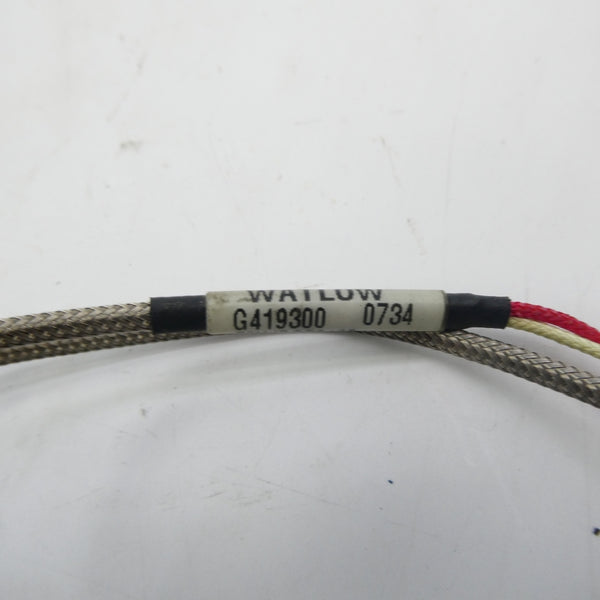 WATLOW G419300 NSNP