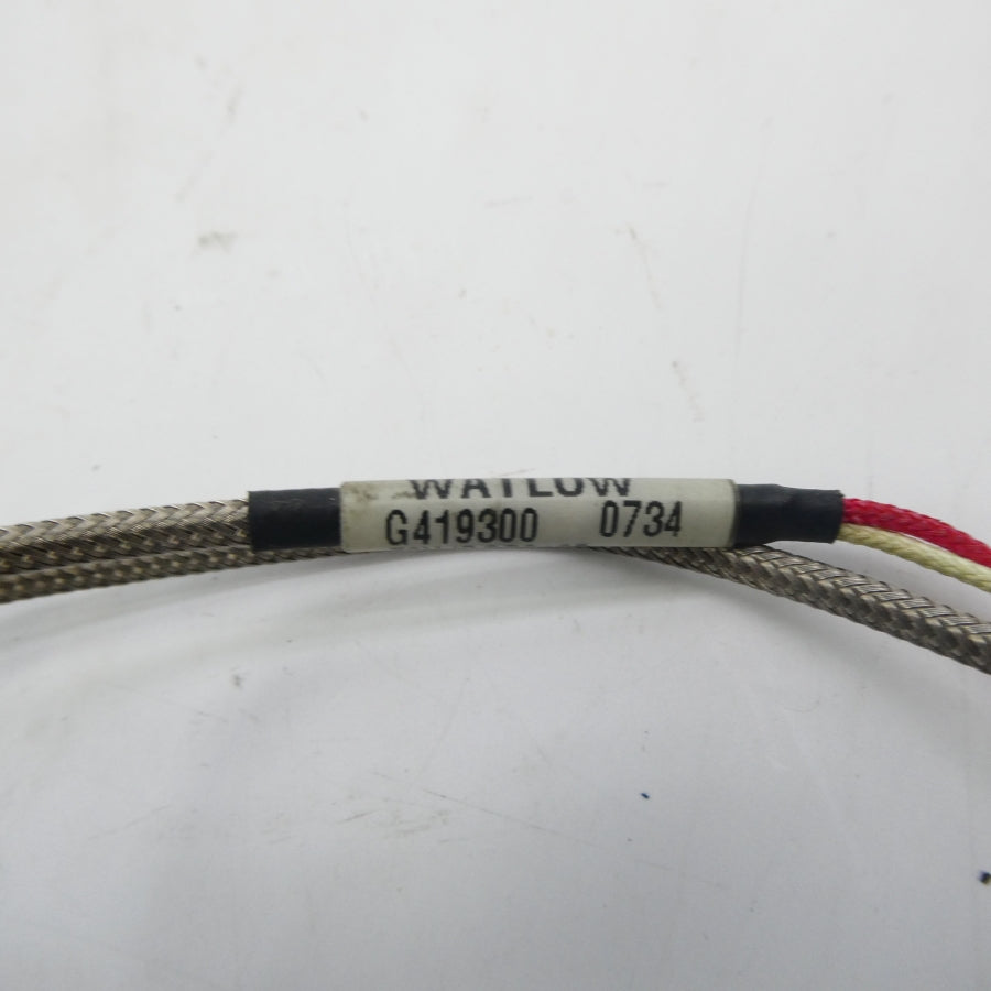 WATLOW G419300 NSNP