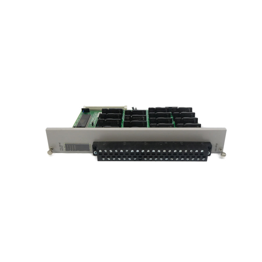 MODULE 505-4816 110-220VAC (AS PICTURED1) NSNP