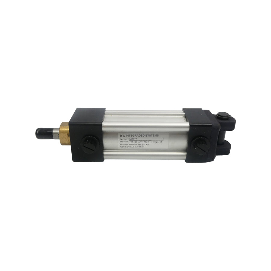 BW INTEGRADED SYTEMS 300677 250PSI NSNP