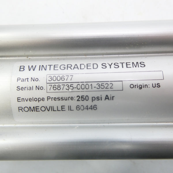 BW INTEGRADED SYTEMS 300677 250PSI NSNP