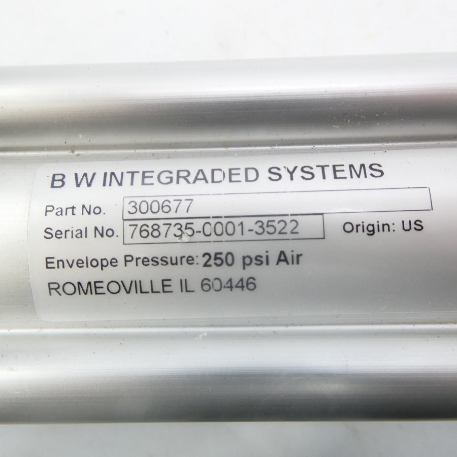 BW INTEGRADED SYTEMS 300677 250PSI NSNP