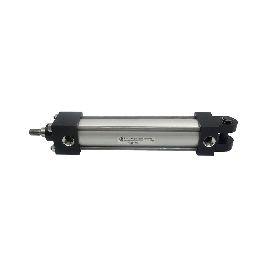 BW INTEGRATED SYSTEMS 300678 NSNP