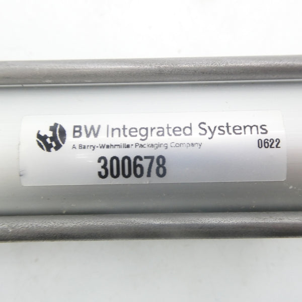 BW INTEGRATED SYSTEMS 300678 NSNP